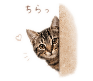 840367916