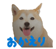 840368801