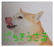 840368804