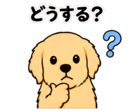 840368895