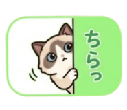 840369636