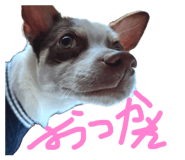 840375029