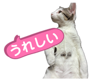840375840
