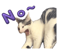 840375842