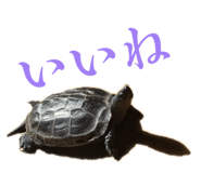 840375850
