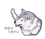 840376144