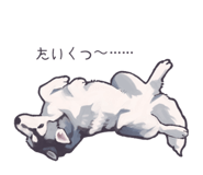 840376162