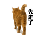 840376707