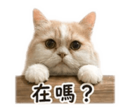 840376807