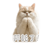 840376820