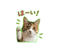 840376989