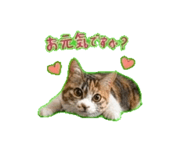 840376993