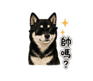 840377650