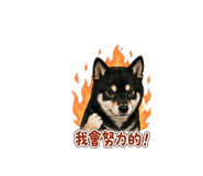840377653