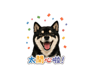 840377654
