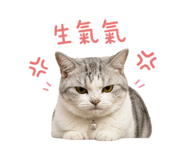840378614