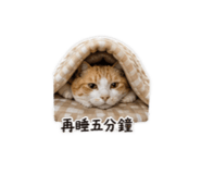 840379081