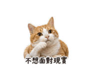 840379084