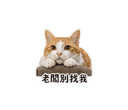 840379089