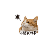 840379091