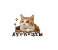 840379100