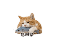 840379103