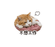 840379116