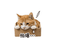 840379117