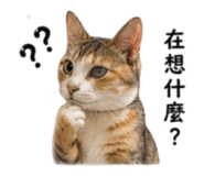 840379191