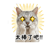 840379358