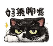 840379397