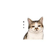 840379594