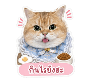 840381691