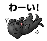 840383103