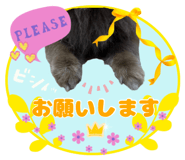 840383376