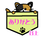 840384298