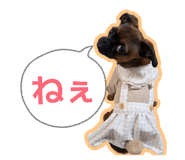 840386950