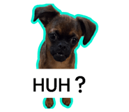 840386955