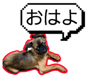 840386964