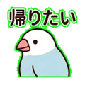 840387506