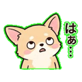 840387604
