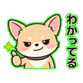840387629