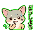 840387631