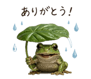 840388165