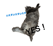 840388522