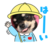 840388722