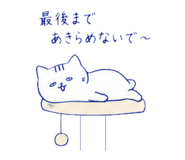 840388816