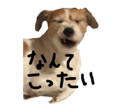 840389458