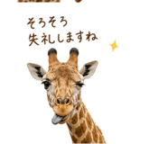 840390270