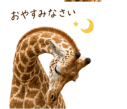 840390271
